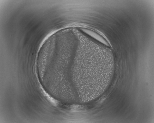 X0000078861379200612041921