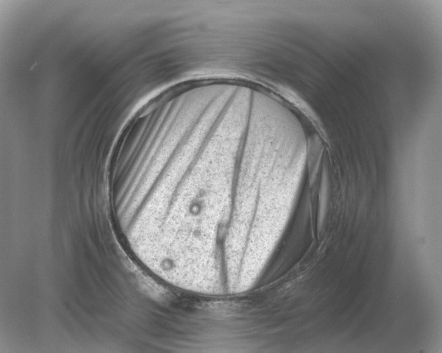 X0000078861380200612041921