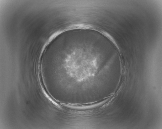 X0000078861381200612041921