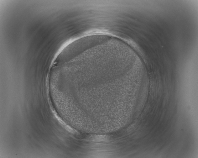 X0000078861382200612041921