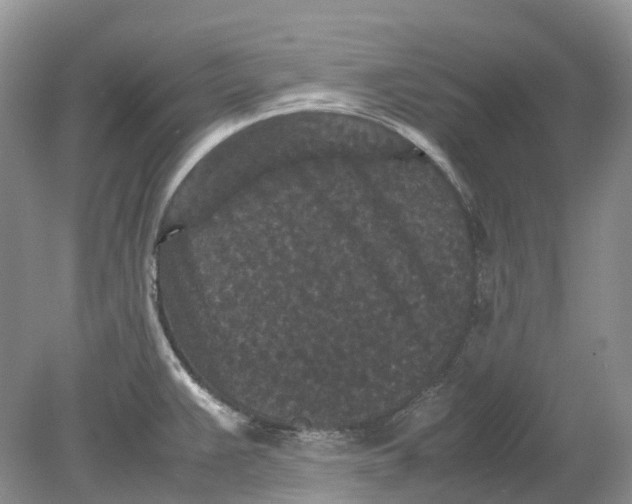 X0000078861383200612041921