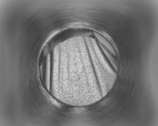 X0000078861384200612041921