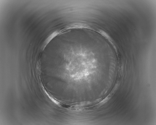 X0000078861385200612041921