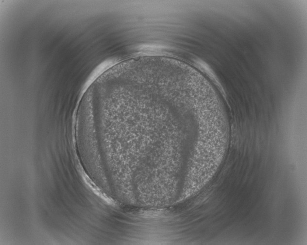 X0000078861386200612041921