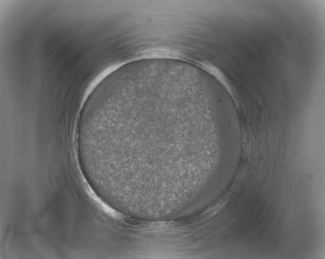 X0000078861387200612041921