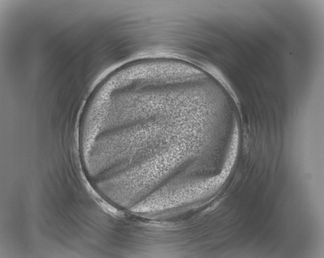 X0000078861388200612041921