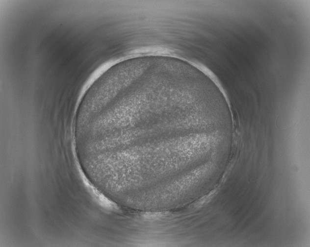 X0000078861389200612041921