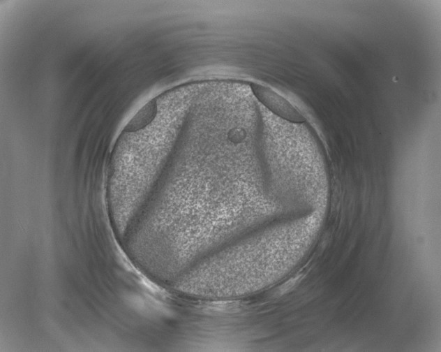 X0000078861390200612041921