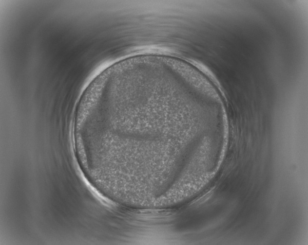 X0000078861391200612041921