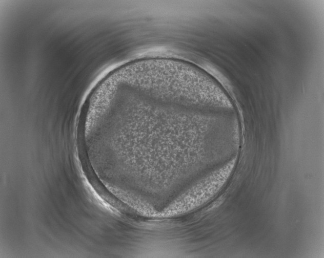 X0000078861392200612041921