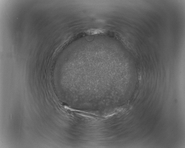 X0000078861393200612041920