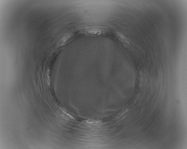 X0000078861394200612041920