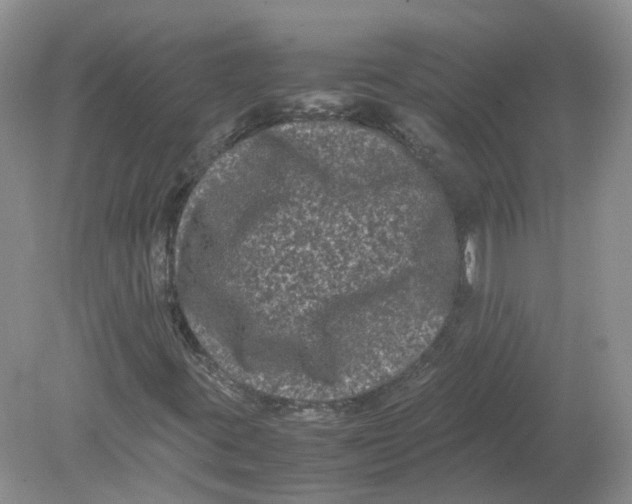 X0000078861395200612041920