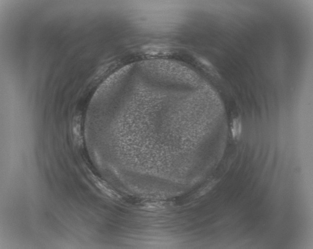 X0000078861396200612041920