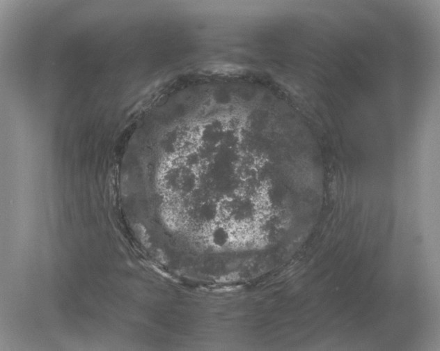 X0000078861397200612041920