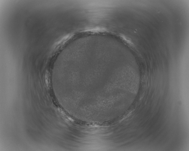 X0000078861398200612041920