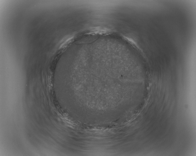 X0000078861399200612041920