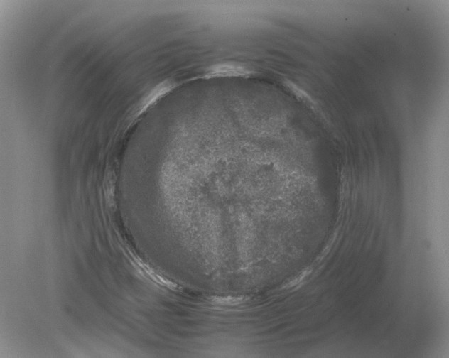 X0000078861401200612041920