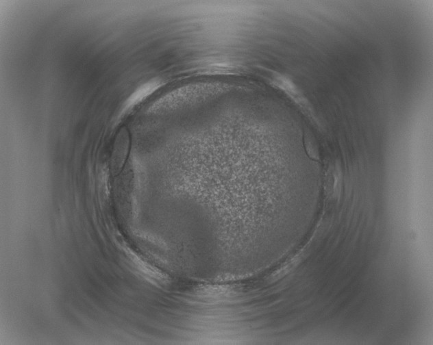 X0000078861402200612041920