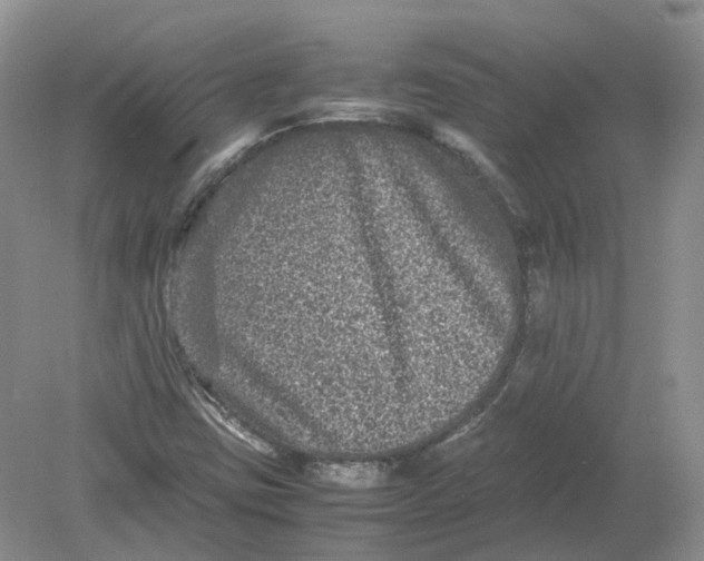 X0000078861403200612041920