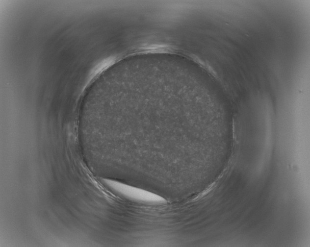 X0000078861405200612041920