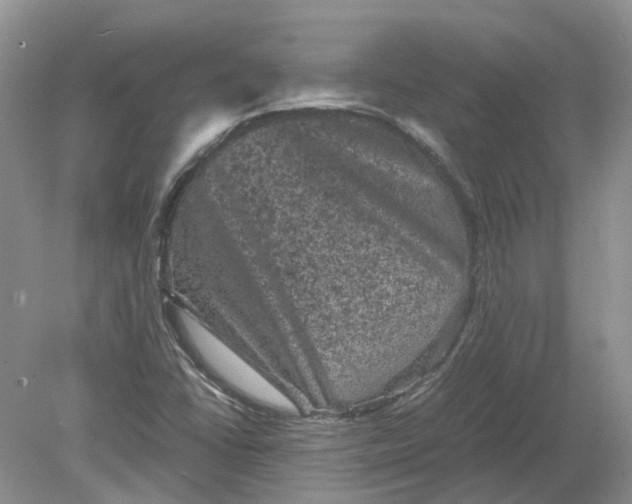 X0000078861406200612041920