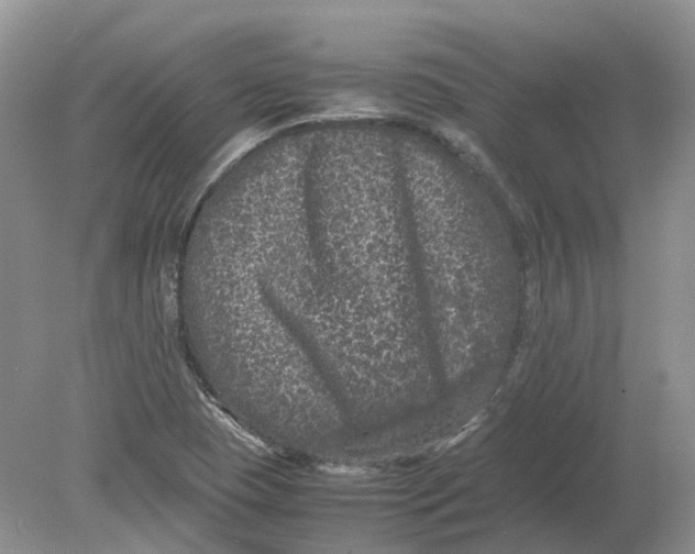 X0000078861409200612041920