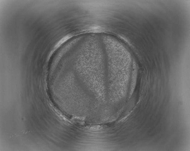 X0000078861410200612041920