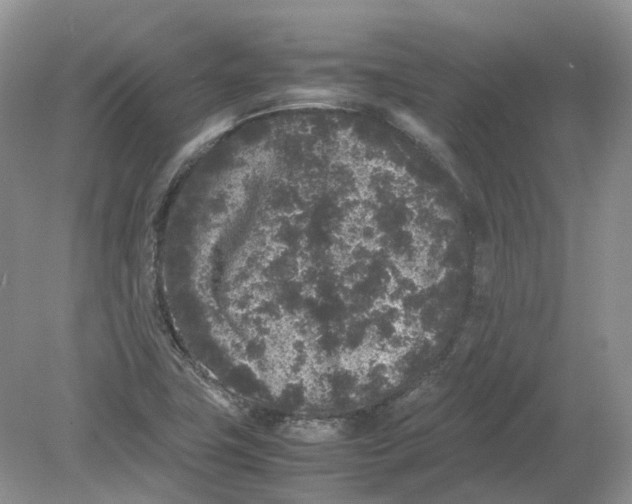 X0000078861411200612041920