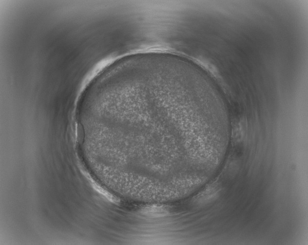 X0000078861414200612041920