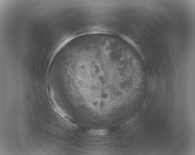 X0000078861415200612041920