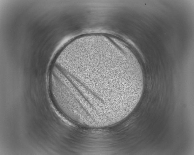 X0000078861416200612041920