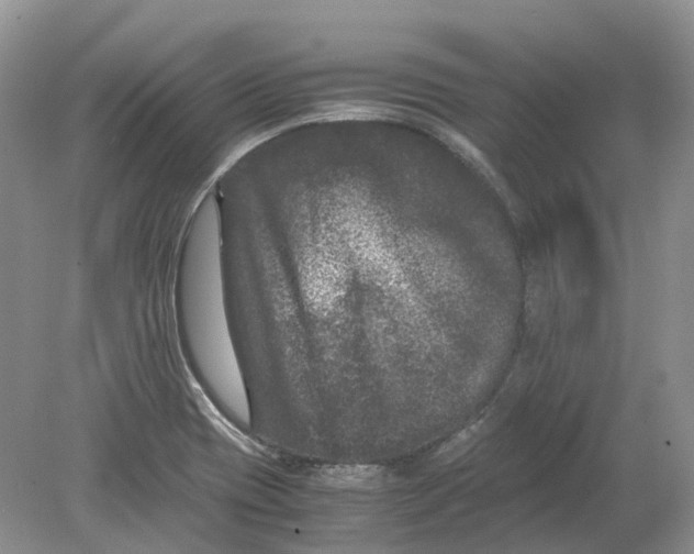 X0000078861417200612041920