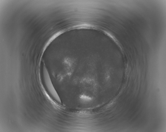 X0000078861418200612041920