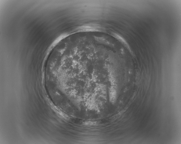 X0000078861419200612041920