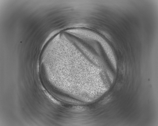 X0000078861420200612041920