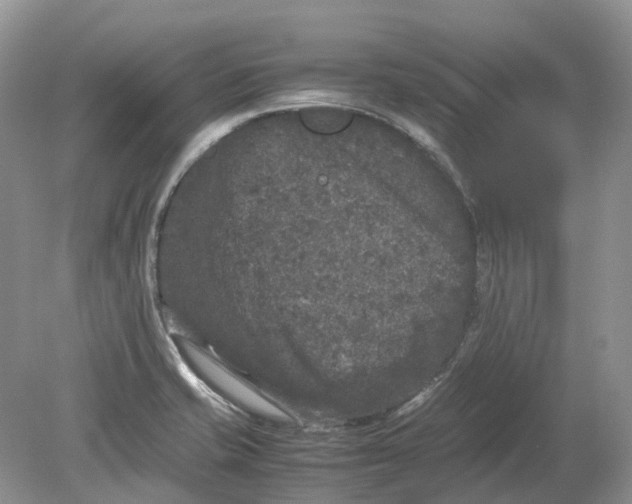 X0000078861421200612041920