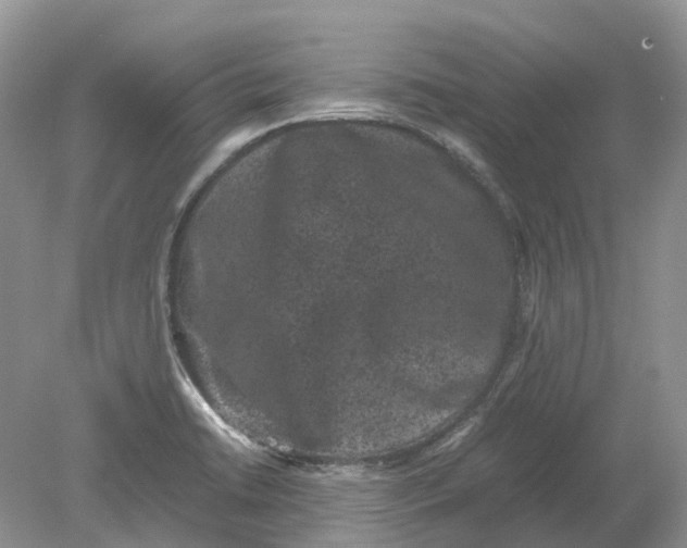 X0000078861422200612041920