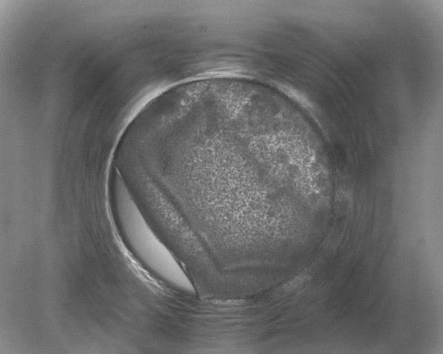 X0000078861423200612041920