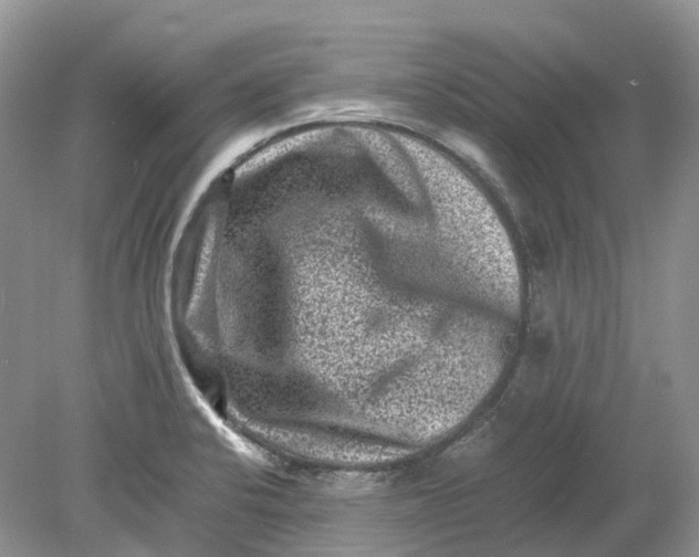 X0000078861424200612041920