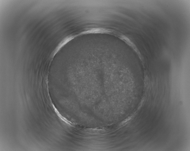 X0000078861425200612041920