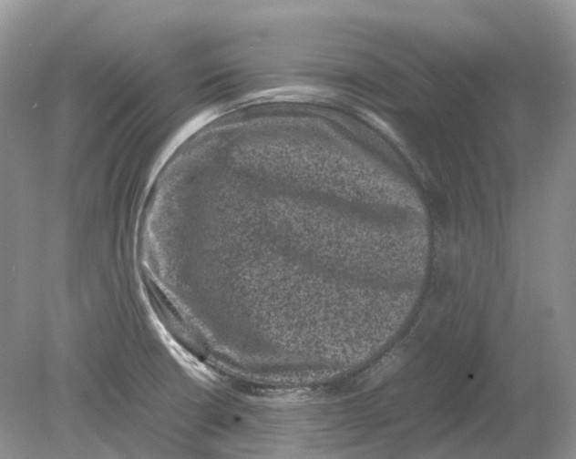 X0000078861426200612041920