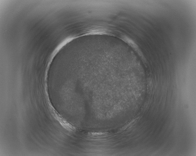 X0000078861427200612041920