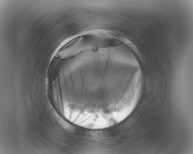 X0000078861428200612041920