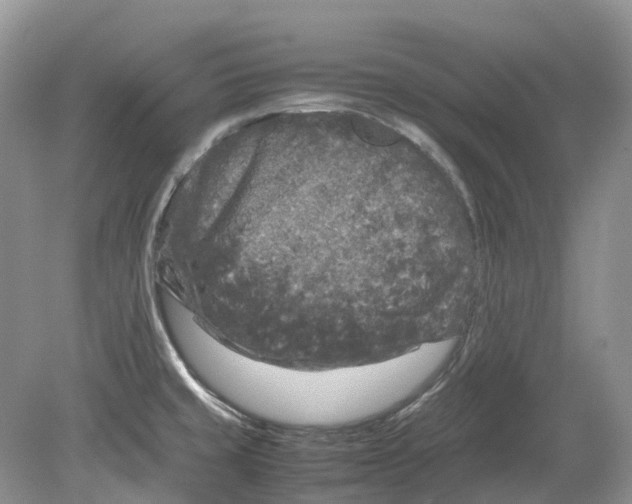 X0000078861429200612041920