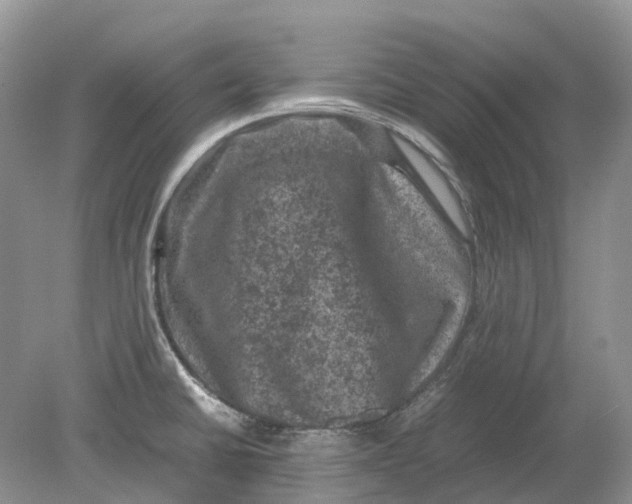 X0000078861430200612041920