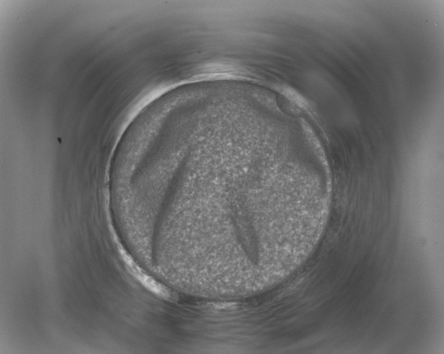 X0000078861431200612041920