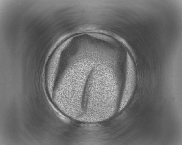 X0000078861432200612041920