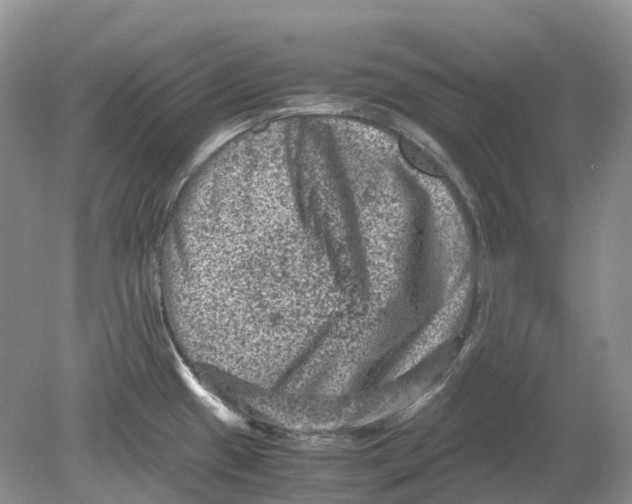 X0000078861433200612041920