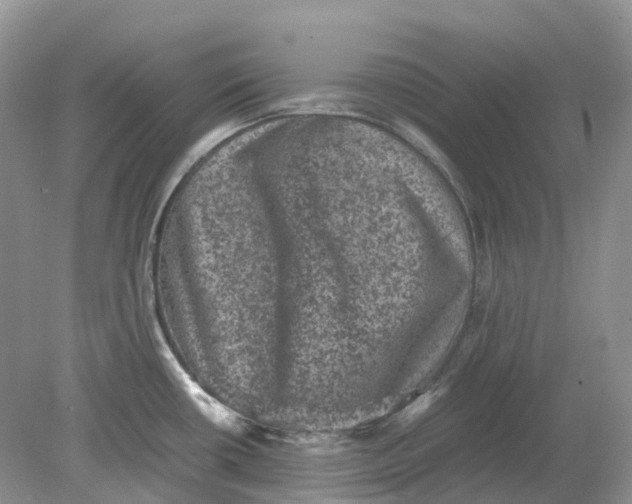 X0000078861434200612041920